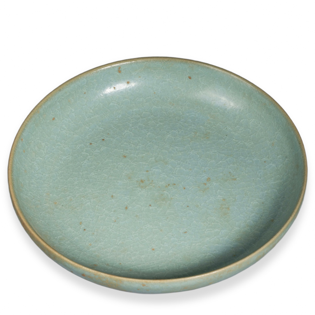 Sky-Blue Brush Washer